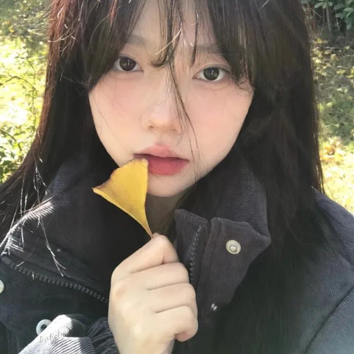 美人老矣·动态漫
